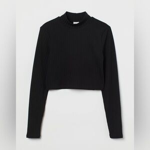 H&M Ribbed Mock Neck Crop Top